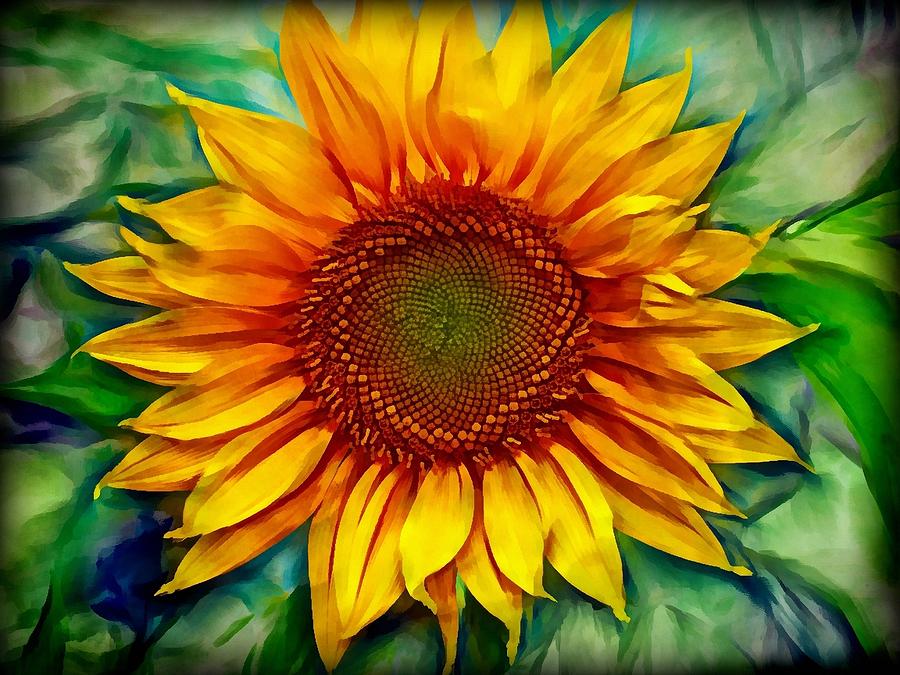 Sunflower - paint edition Photograph by Lilia D