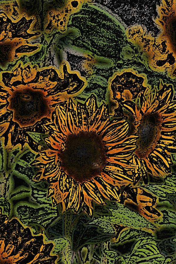 Sunflower 18 Photograph by Pamela Cooper