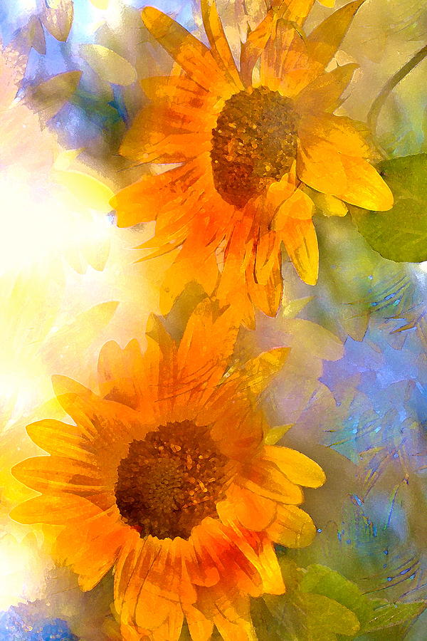 Sunflower 26 Photograph by Pamela Cooper