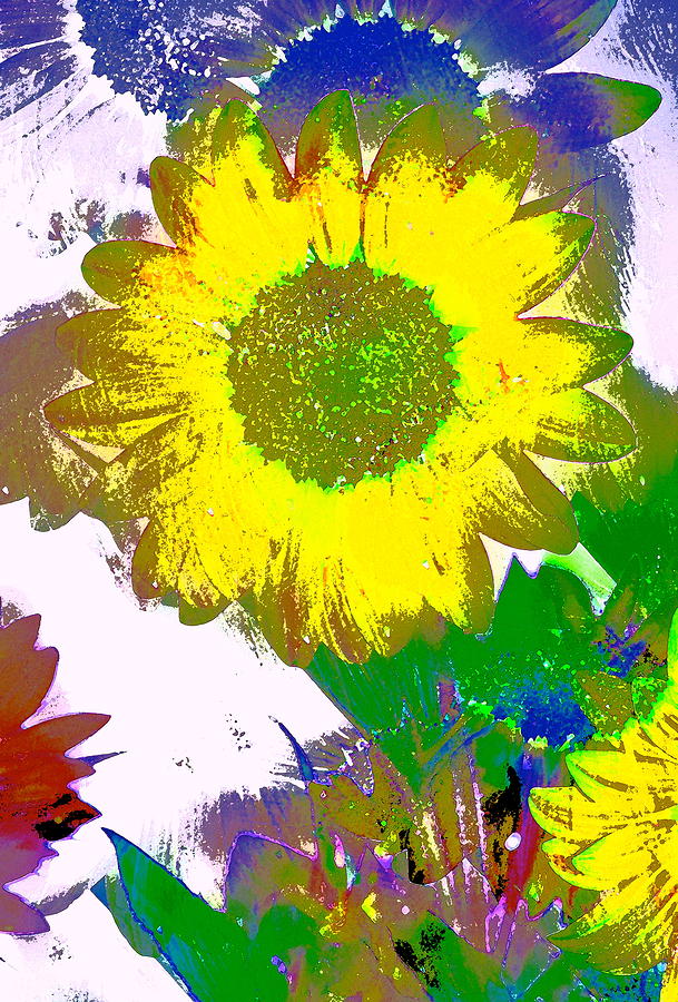 Flower Photograph - Sunflower 30 by Pamela Cooper