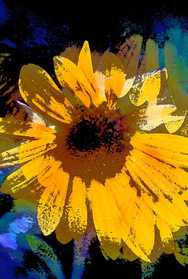 Sunflower 32 Photograph by Pamela Cooper