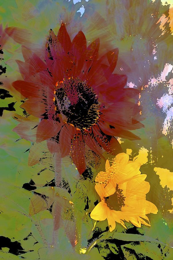 Flower Photograph - Sunflower 33 by Pamela Cooper
