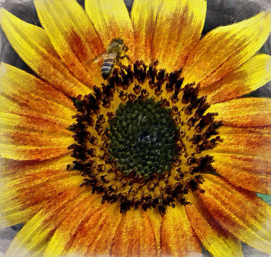 Sunflower and Bee Digital Art by Joan Reese