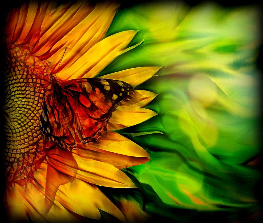 Sunflower and butterfly Digital Art by Lilia S