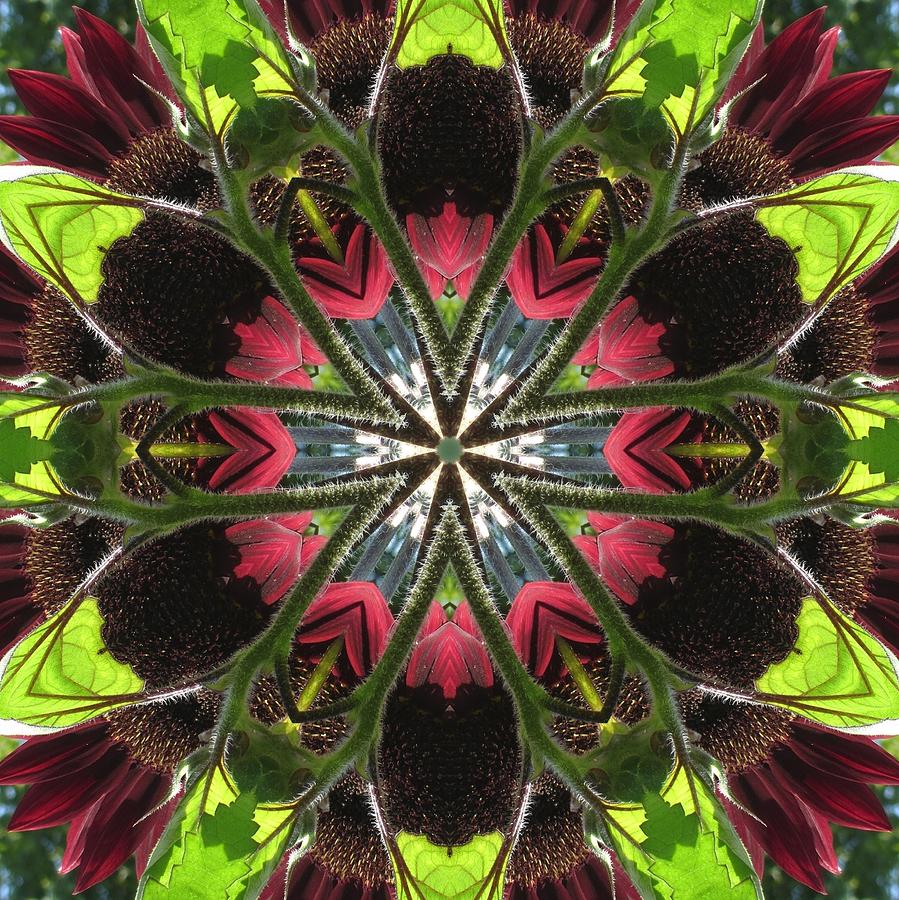 Sunflower and Green Leaf Digital Art by Trina Stephenson