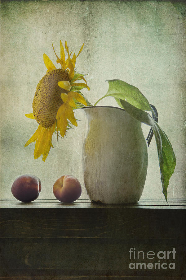 Sunflower And Peaches Photograph by Elena Nosyreva