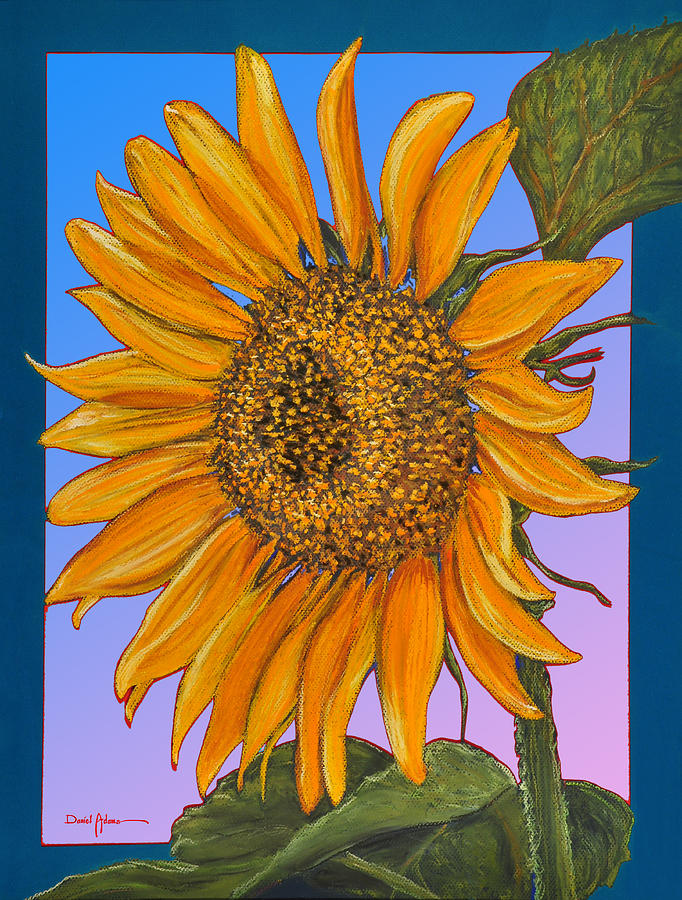 DA154 Sunflower by Daniel Adams Painting by Daniel Adams