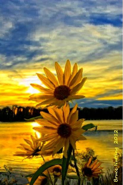 Sunset Painting - Sunflower at Sunset by Bruce Nutting