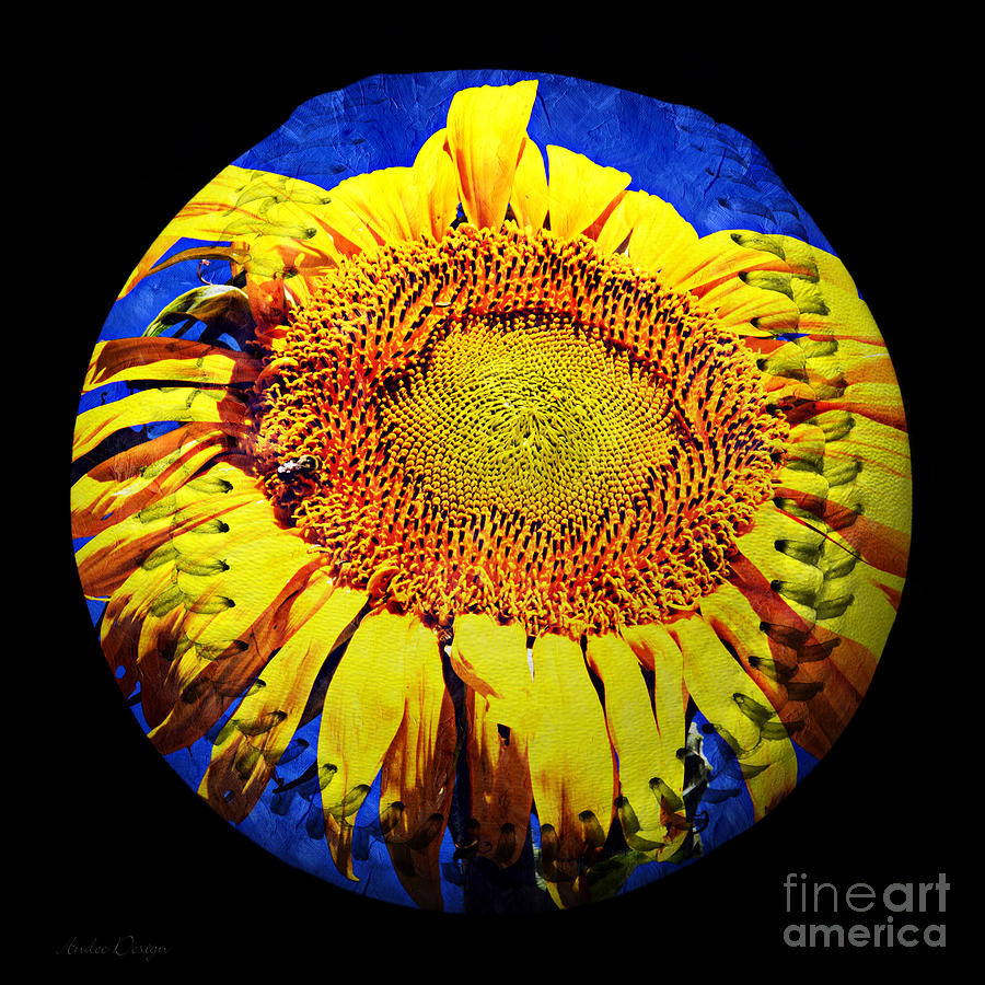 Sunflower Baseball Square Digital Art by Andee Design