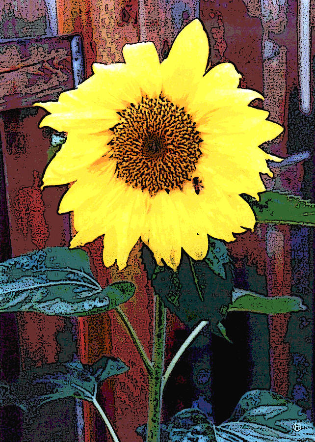 Sunflower Bee Digital Art by Gary Olsen-Hasek