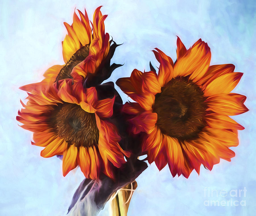 Sunflowers Photograph - Sunflower Bouquet by Shirley Mangini