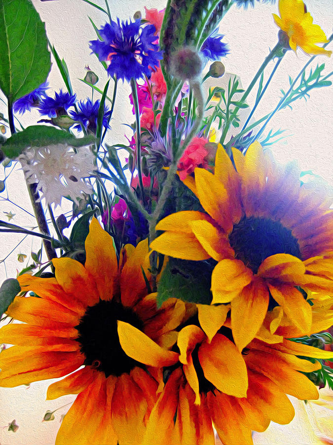 Sunflower Cheer Photograph by Kathy Bassett