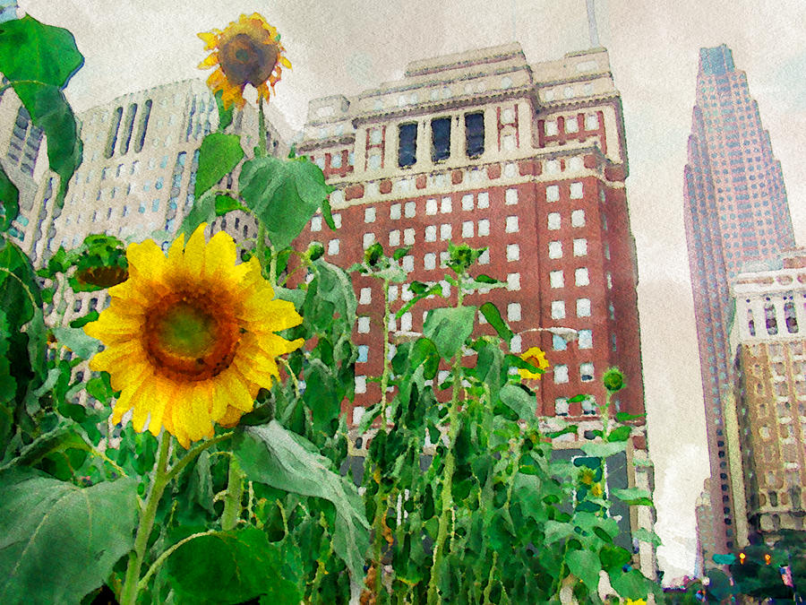 Sunflower City Photograph by Alice Gipson Fine Art America