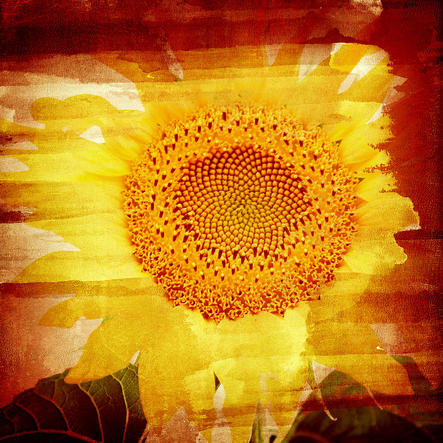 Abstract Yellow Sunflower - Digital Art Collage Digital Art by Modern Abstract