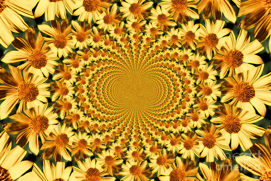 Fantasy Photograph - Sunflower Dance by Clare Bevan