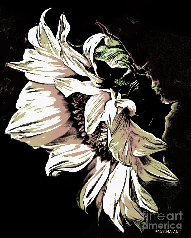 Sunflower Digital Art by Dragica  Micki Fortuna