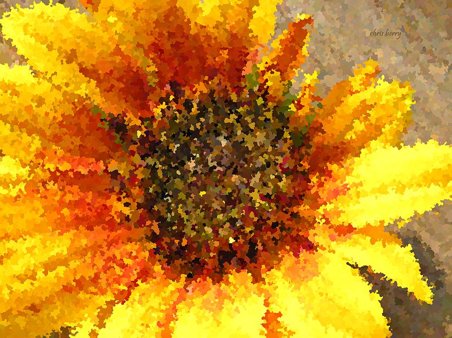 Sunflower Dream Photograph by Chris Berry