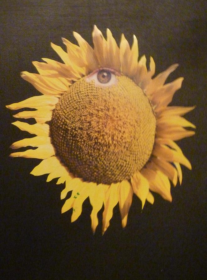 SunFlower Eye Mixed Media by Douglas Fromm