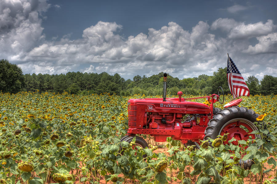 Sunflower Photograph - Sunflower Field with Farmall tractor by Gerald Adams