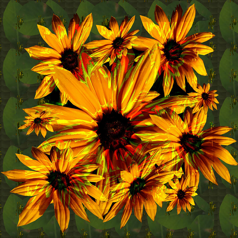 Flower Digital Art - Sunflower flower orange flower bunch bouquet spiritual elegant artistic graphic digital stock images by Navin Joshi