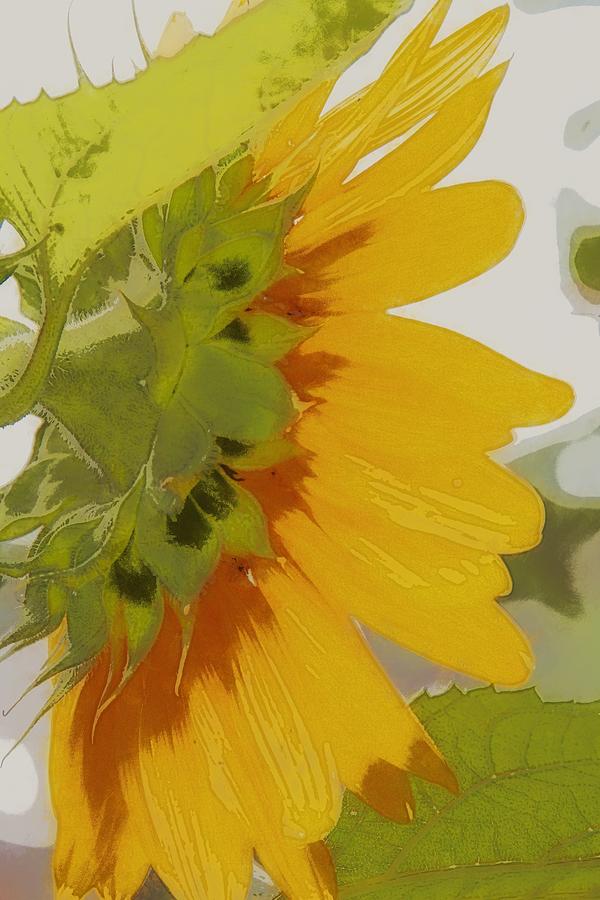 Sunflower From The Side Photograph by Alice Gipson Sunflower From The Side Photograph by Alice Gipson