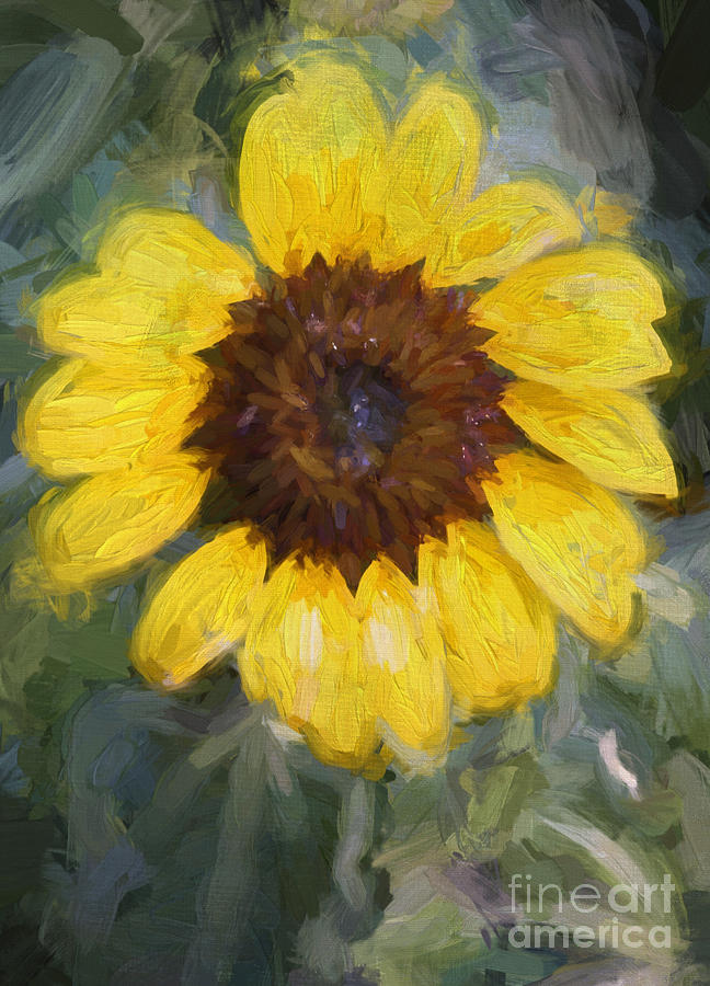 Sunflower Fun Digital Art by Jayne Carney