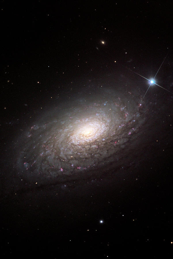 Sunflower Galaxy (m63) Photograph by Adam Block/science Photo Library ...
