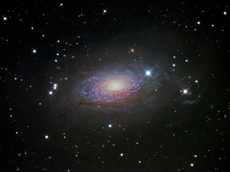 Sunflower Galaxy (m63) Photograph by Robert Gendler/science Photo ...