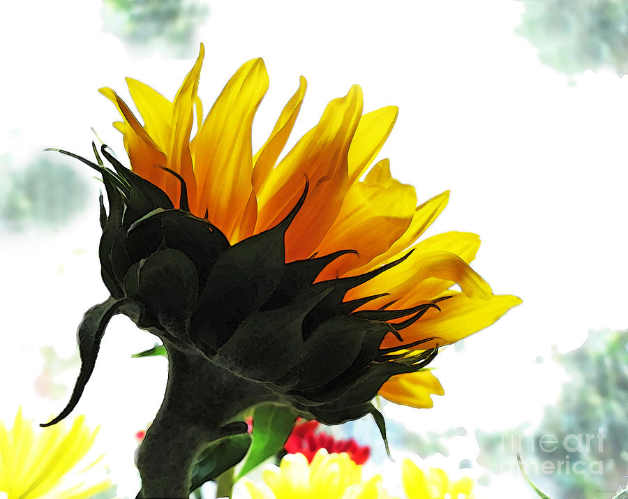 Sunflower Happiness Photograph by Deborah Smith