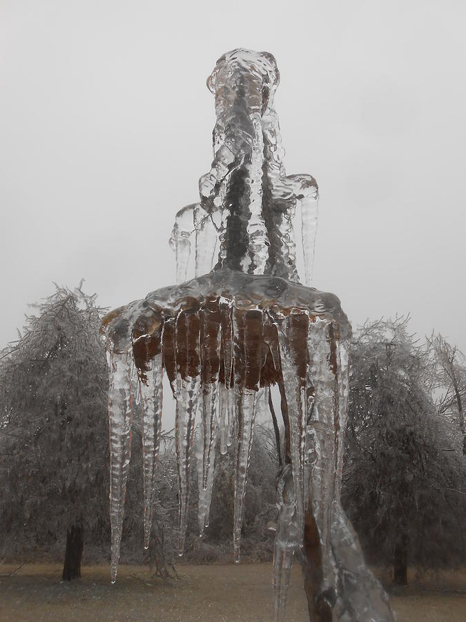 Winter Photograph - Sunflower Ice Princess by Diannah Lynch