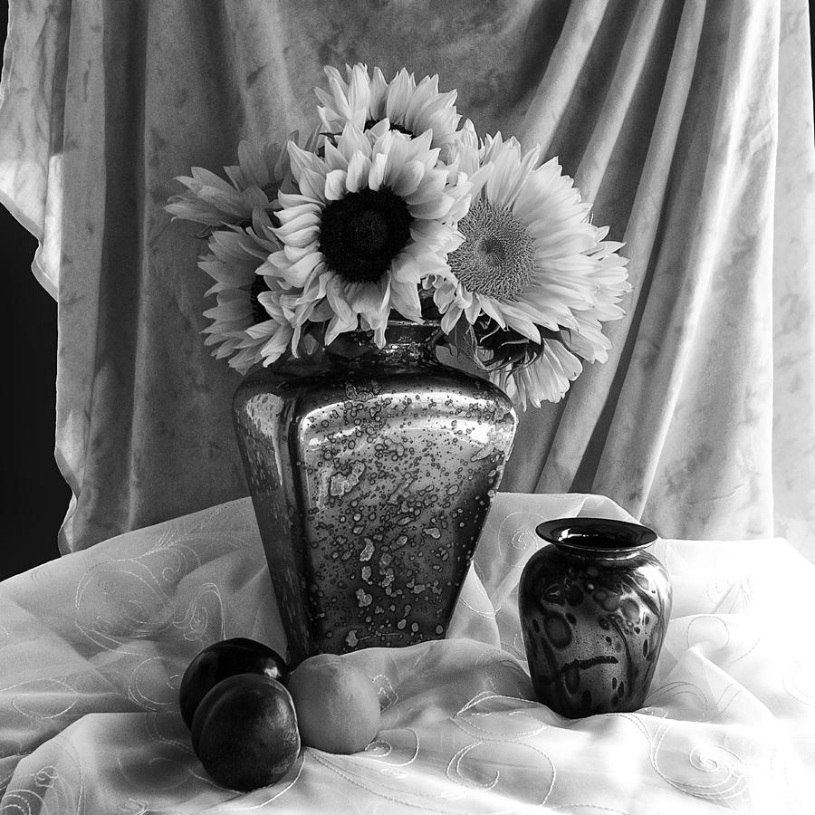Sunflower in Black and White Photograph by Sandra Selle Rodriguez