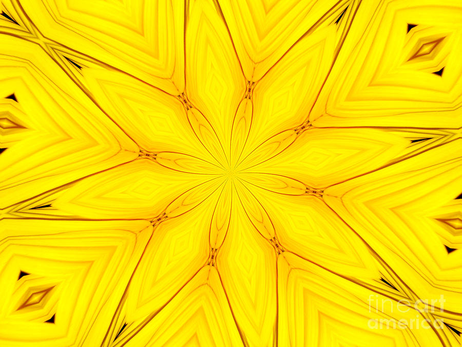Sunflower Kaleidoscope 1 Photograph by Rose Santuci-Sofranko