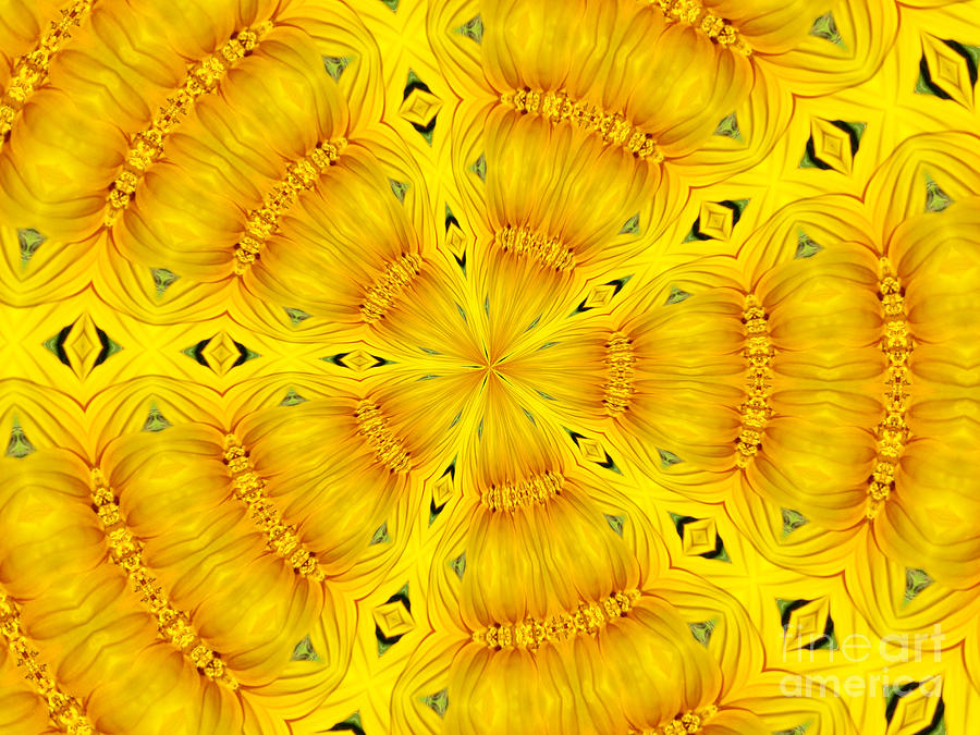 Sunflower Kaleidoscope 2 Photograph by Rose Santuci-Sofranko