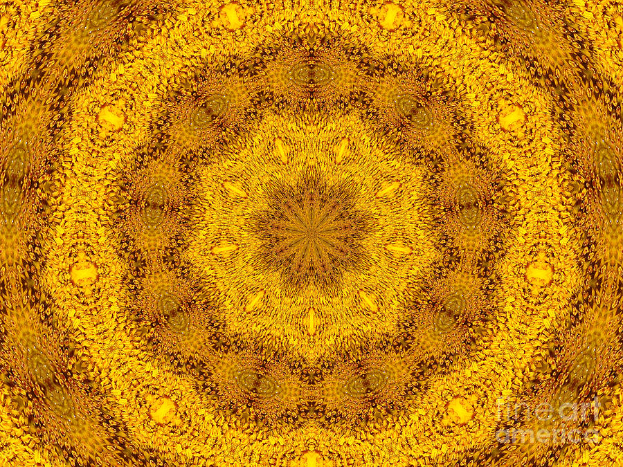 Sunflower Kaleidoscope 5 Photograph by Rose Santuci-Sofranko