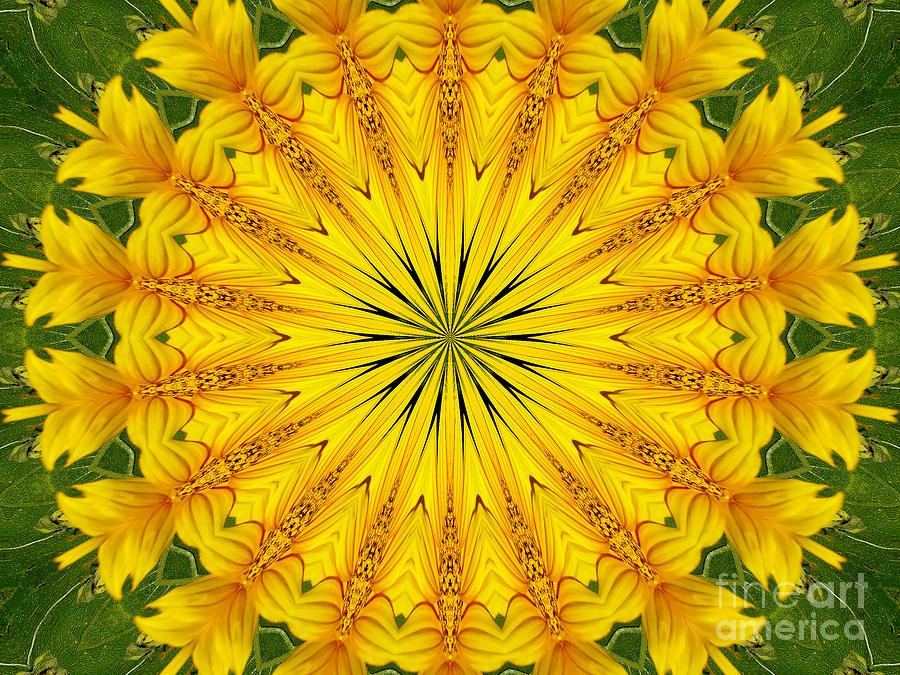 Sunflower Kaleidoscope 6 Photograph by Rose Santuci-Sofranko