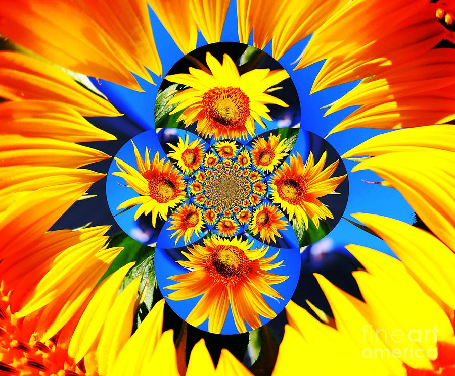 Sunflower Kaleidoscope Photograph by Judy Palkimas