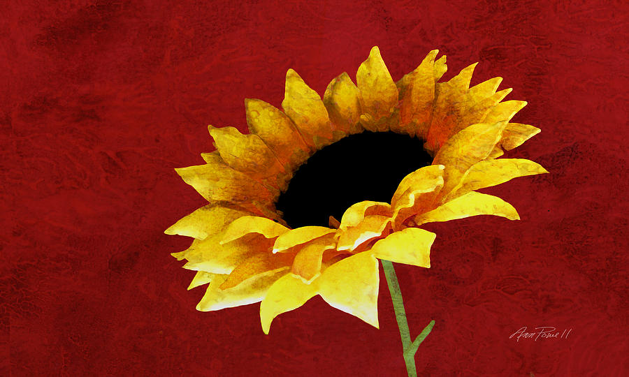Sunflower on Red Digital Art by Ann Powell