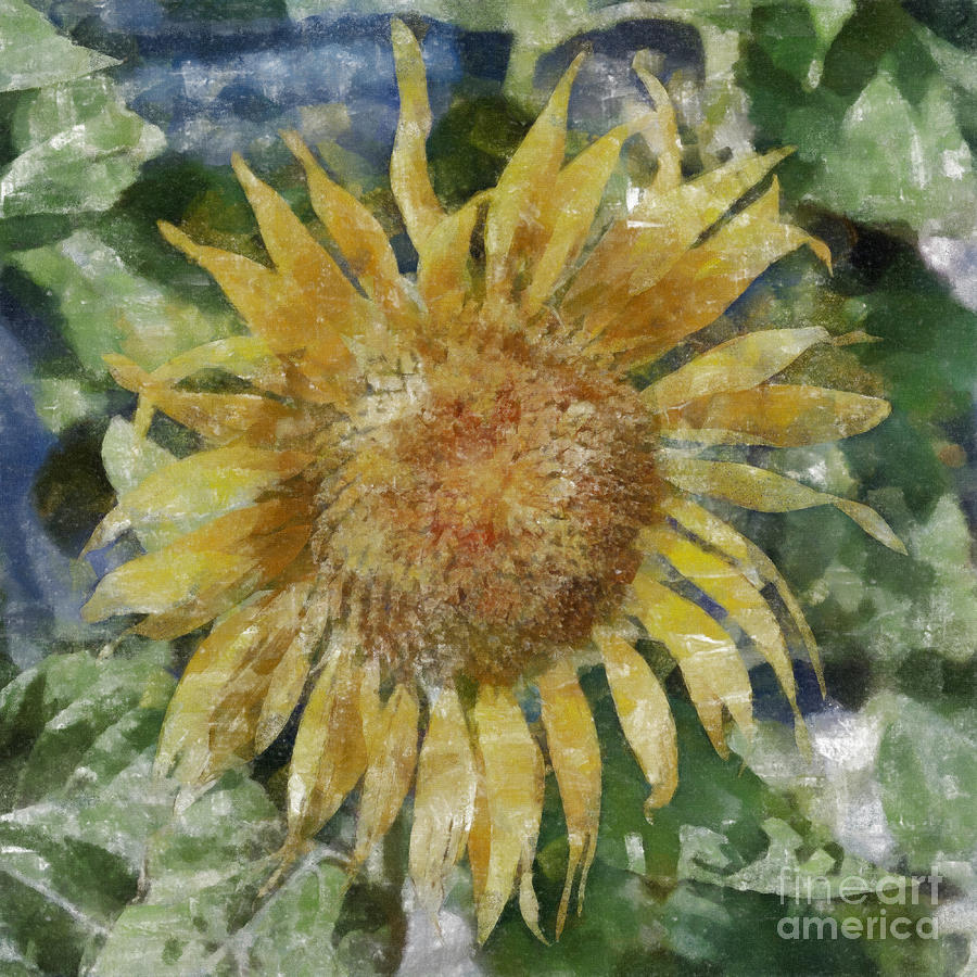 Sunflower Painting Painting by Antony McAulay
