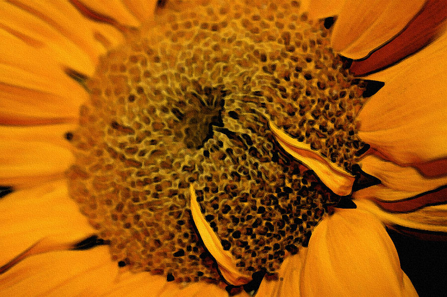 Sunflower Painting Photograph by Ellen Tully
