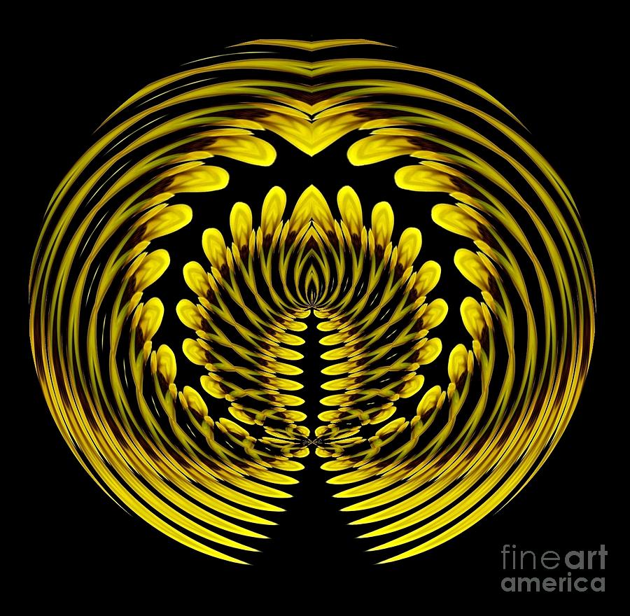 Sunflower Photograph - Sunflower Polar Coordinate Effect 1 by Rose Santuci-Sofranko