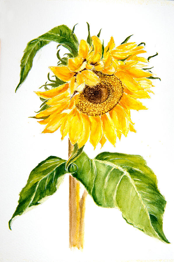 Sunflower Painting by Laura Richards