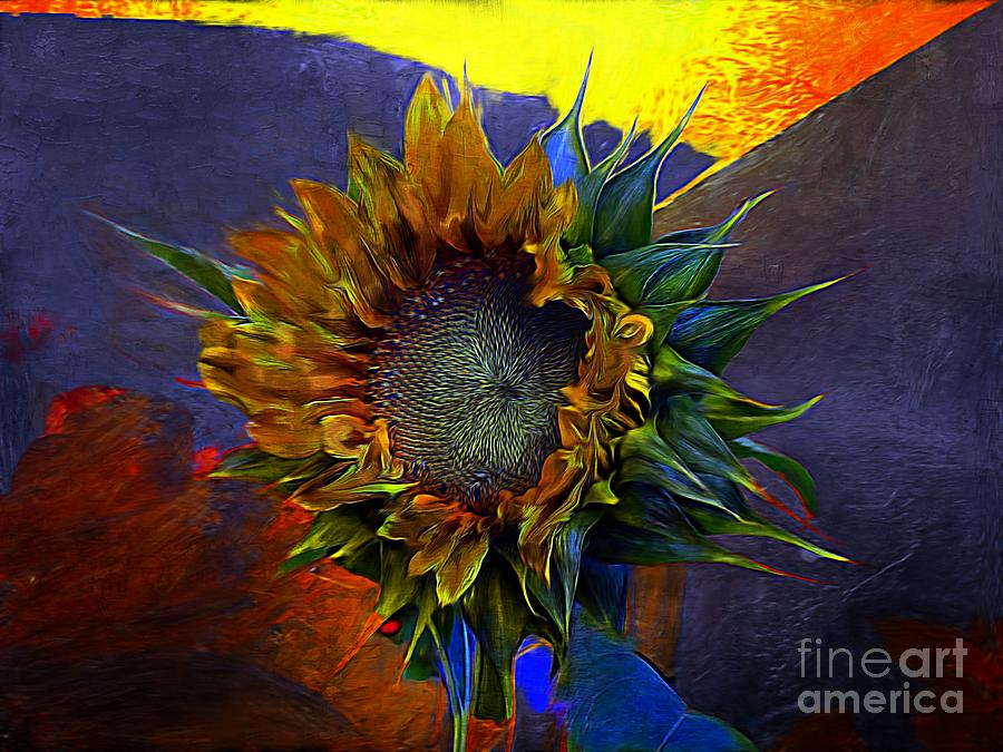 Sunflower Splat Photograph by John  Kolenberg