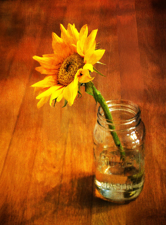 Sunflower Still Life Photograph by Sandi OReilly