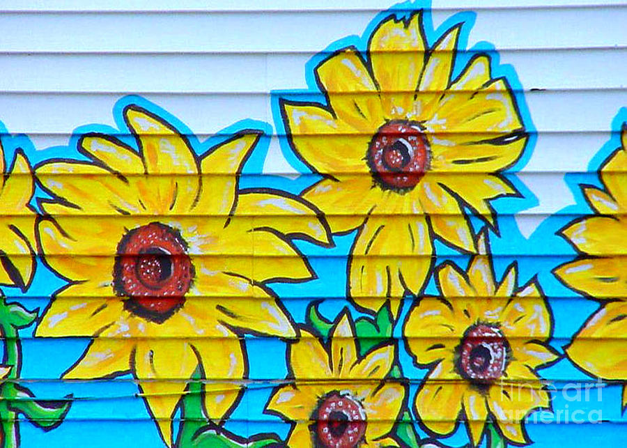 Sunflower Street Art Saint Johns NFLD Mixed Media by Art MacKay