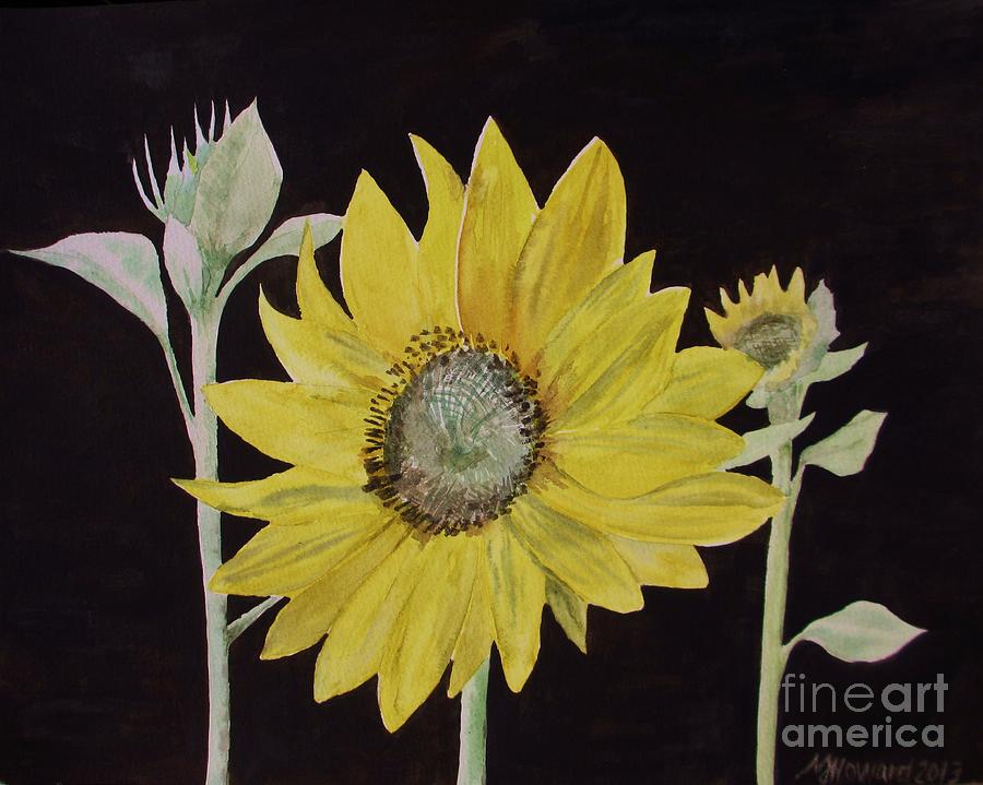 Sunflower Study Painting by Martin Howard