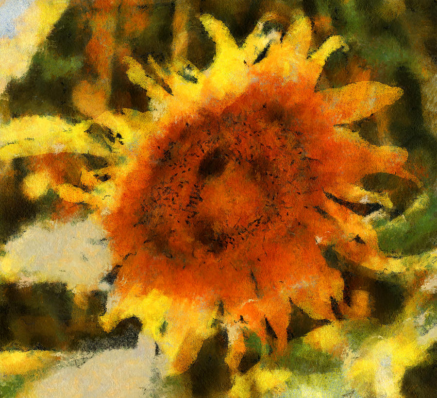 Sunflower Sunshine Digital Art by Melinda Dreyer