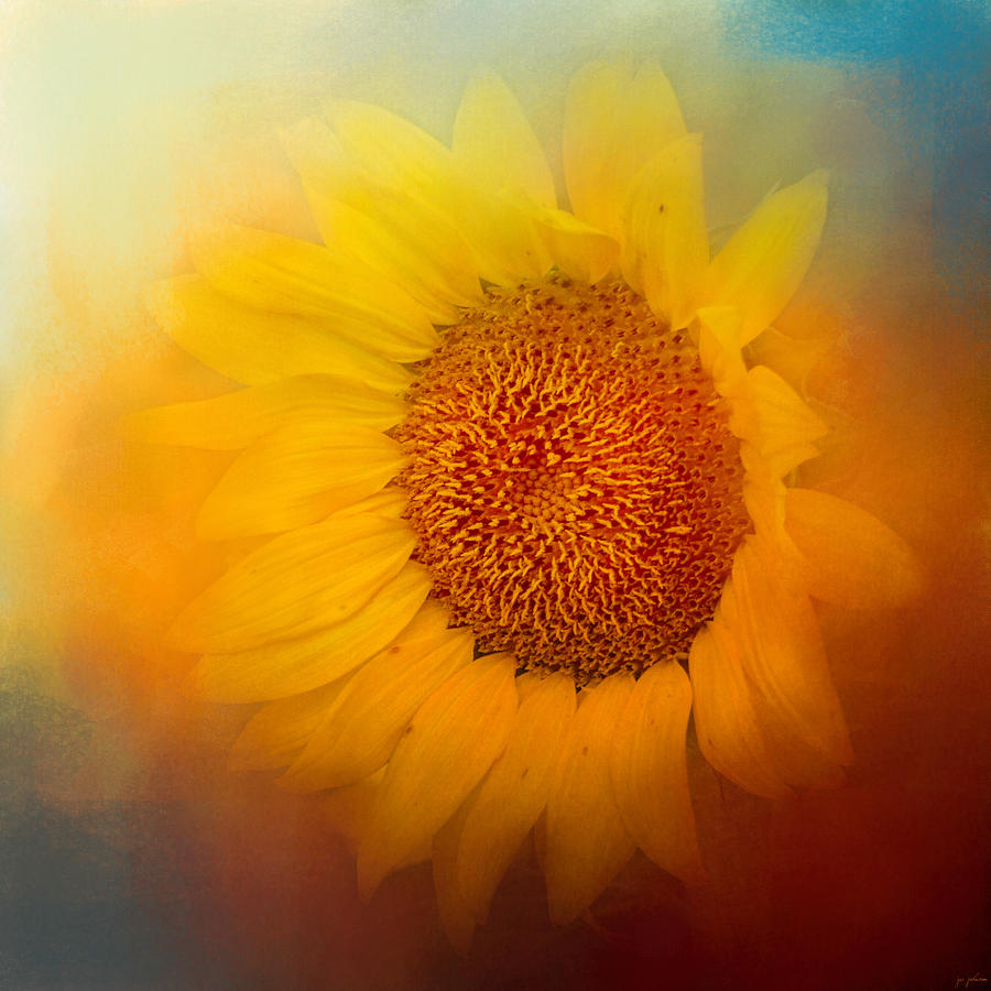 Abstract Photograph - Sunflower Surprise by Jai Johnson