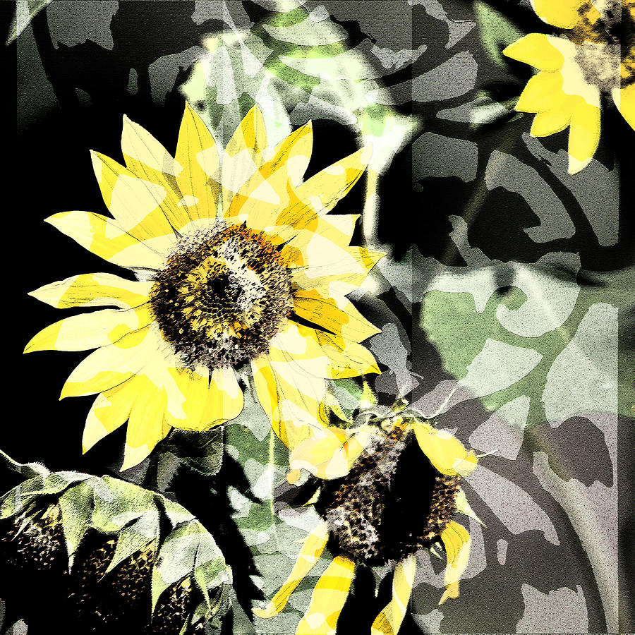 Sunflower Trellis Digital Art