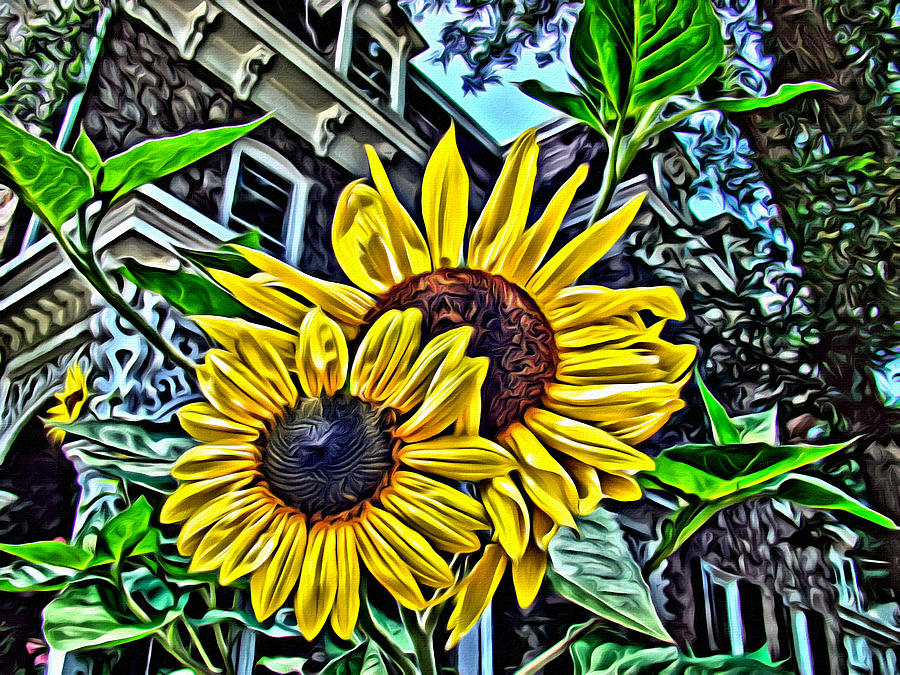 Sunflower Under The Gables Too Photograph by Alice Gipson Sunflower Under The Gables Too Photograph by Alice Gipson