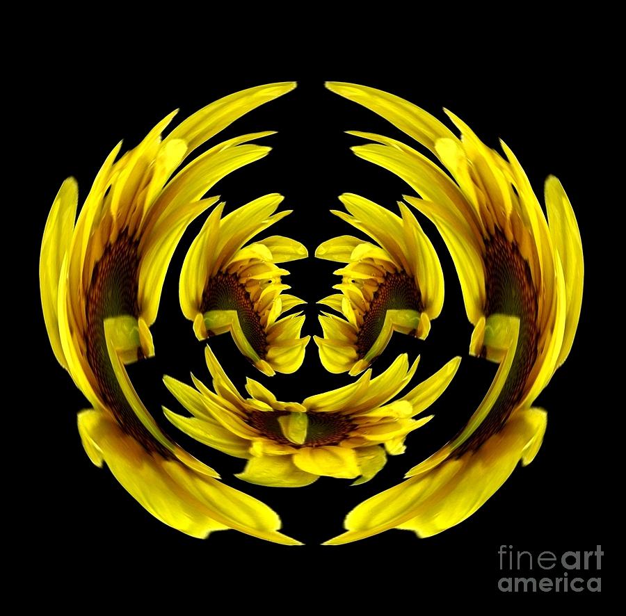 Sunflower Photograph - Sunflower with warp and polar coordinates effects by Rose Santuci-Sofranko